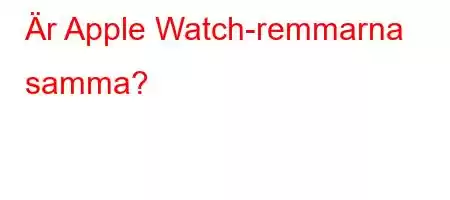 Är Apple Watch-remmarna samma?