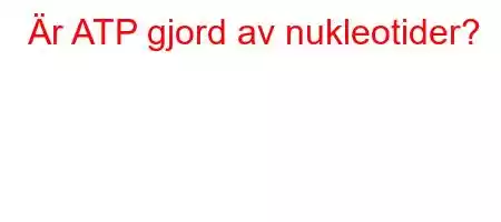 Är ATP gjord av nukleotider?