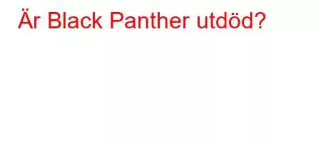 Är Black Panther utdöd?