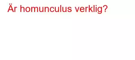 Är homunculus verklig?