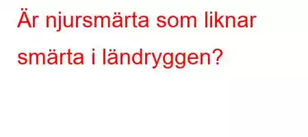 Är njursmärta som liknar smärta i ländryggen?