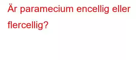 Är paramecium encellig eller flercellig?