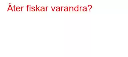 Äter fiskar varandra?