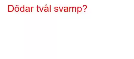 Dödar tvål svamp?