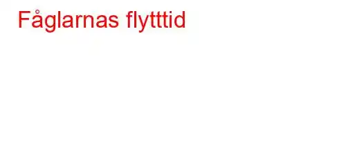 Fåglarnas flytttid