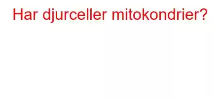 Har djurceller mitokondrier?