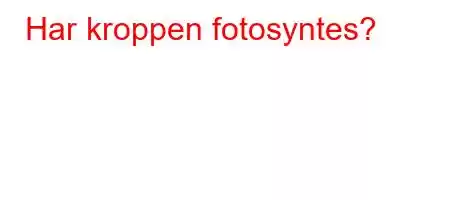 Har kroppen fotosyntes?