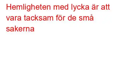 Hemligheten med lycka är att vara tacksam för de små sakerna