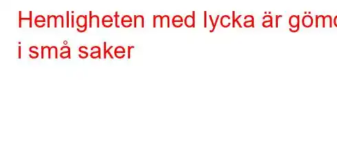 Hemligheten med lycka är gömd i små saker