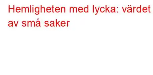 Hemligheten med lycka: värdet av små saker