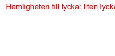 Hemligheten till lycka: liten lycka