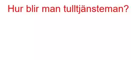 Hur blir man tulltjänsteman?