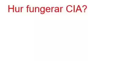 Hur fungerar CIA?