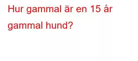 Hur gammal är en 15 år gammal hund?