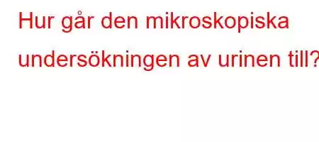 Hur går den mikroskopiska undersökningen av urinen till?