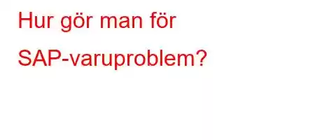 Hur gör man för SAP-varuproblem?