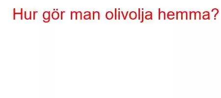 Hur gör man olivolja hemma?