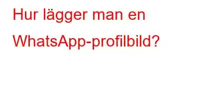 Hur lägger man en WhatsApp-profilbild