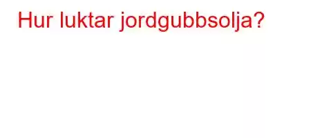 Hur luktar jordgubbsolja?