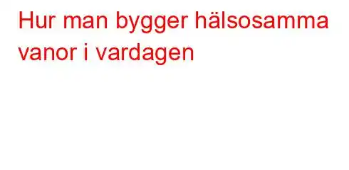 Hur man bygger hälsosamma vanor i vardagen