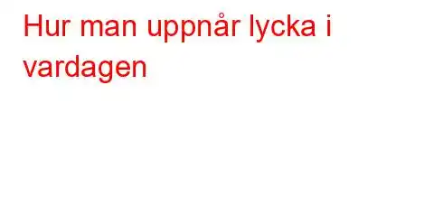 Hur man uppnår lycka i vardagen