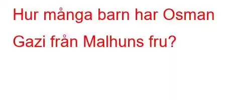 Hur många barn har Osman Gazi från Malhuns fru?