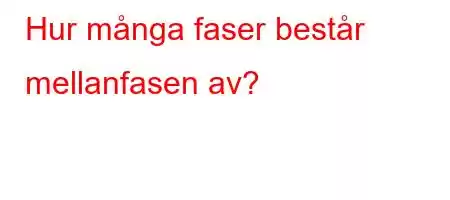 Hur många faser består mellanfasen av?