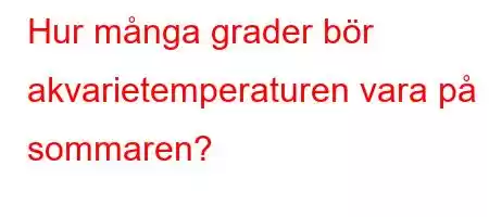 Hur många grader bör akvarietemperaturen vara på sommaren?