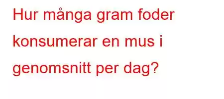 Hur många gram foder konsumerar en mus i genomsnitt per dag?