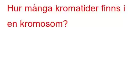 Hur många kromatider finns i en kromosom