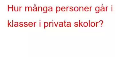 Hur många personer går i klasser i privata skolor?