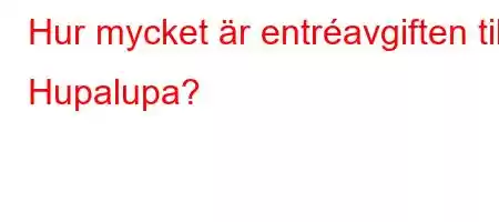 Hur mycket är entréavgiften till Hupalupa?