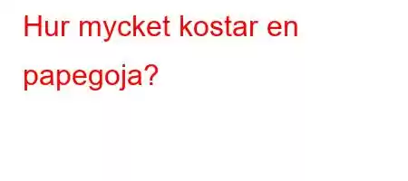 Hur mycket kostar en papegoja