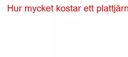 Hur mycket kostar ett plattjärn