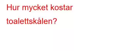 Hur mycket kostar toalettskålen