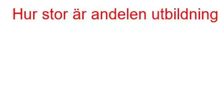 Hur stor är andelen utbildning?