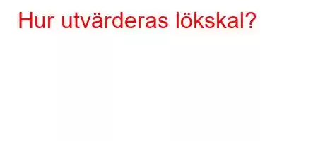 Hur utvärderas lökskal?