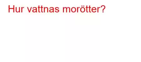 Hur vattnas morötter?