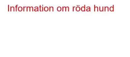 Information om röda hund