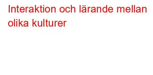 Interaktion och lärande mellan olika kulturer