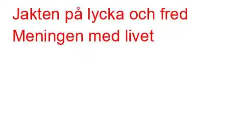 Jakten på lycka och fred Meningen med livet