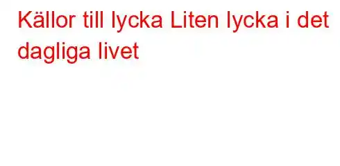 Källor till lycka Liten lycka i det dagliga livet