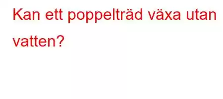 Kan ett poppelträd växa utan vatten?