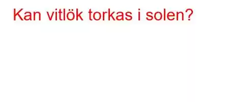 Kan vitlök torkas i solen