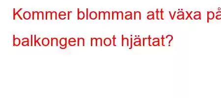 Kommer blomman att växa på balkongen mot hjärtat?