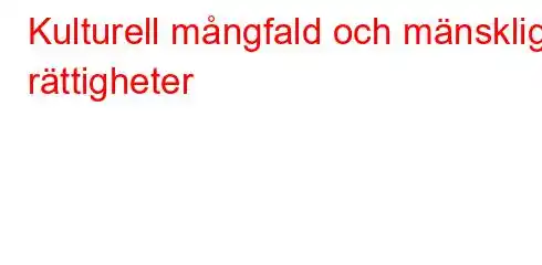 Kulturell mångfald och mänskliga rättigheter