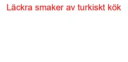 Läckra smaker av turkiskt kök