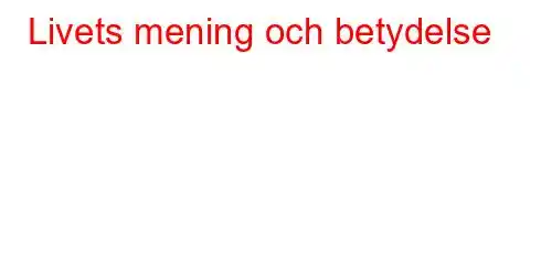 Livets mening och betydelse