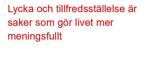 Lycka och tillfredsställelse är saker som gör livet mer meningsfullt