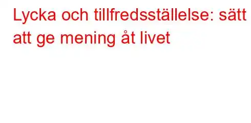 Lycka och tillfredsställelse: sätt att ge mening åt livet